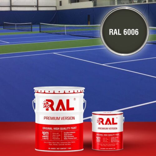B27 Son san the thao Epoxy tu san RAL 6006 1