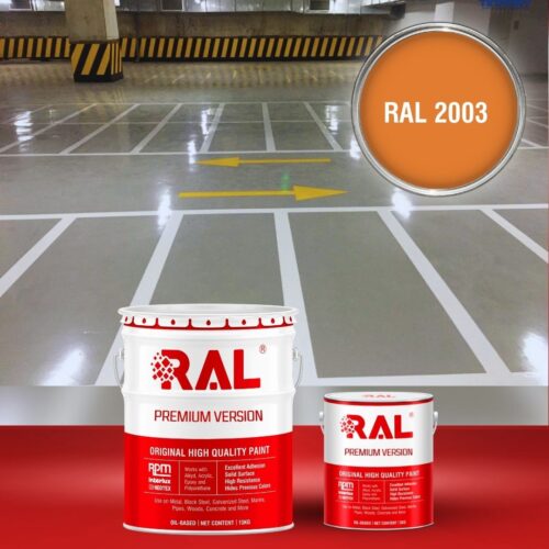 B19 Son san Garage PU tu san RAL 2003 1