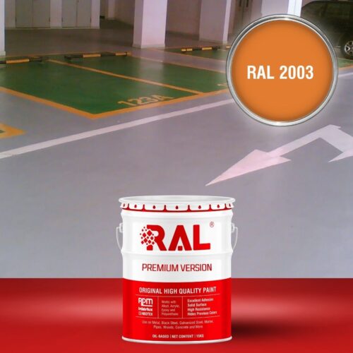 B25 Son san Garage Acylic 2IN1 Lot phu RAL 2003 1